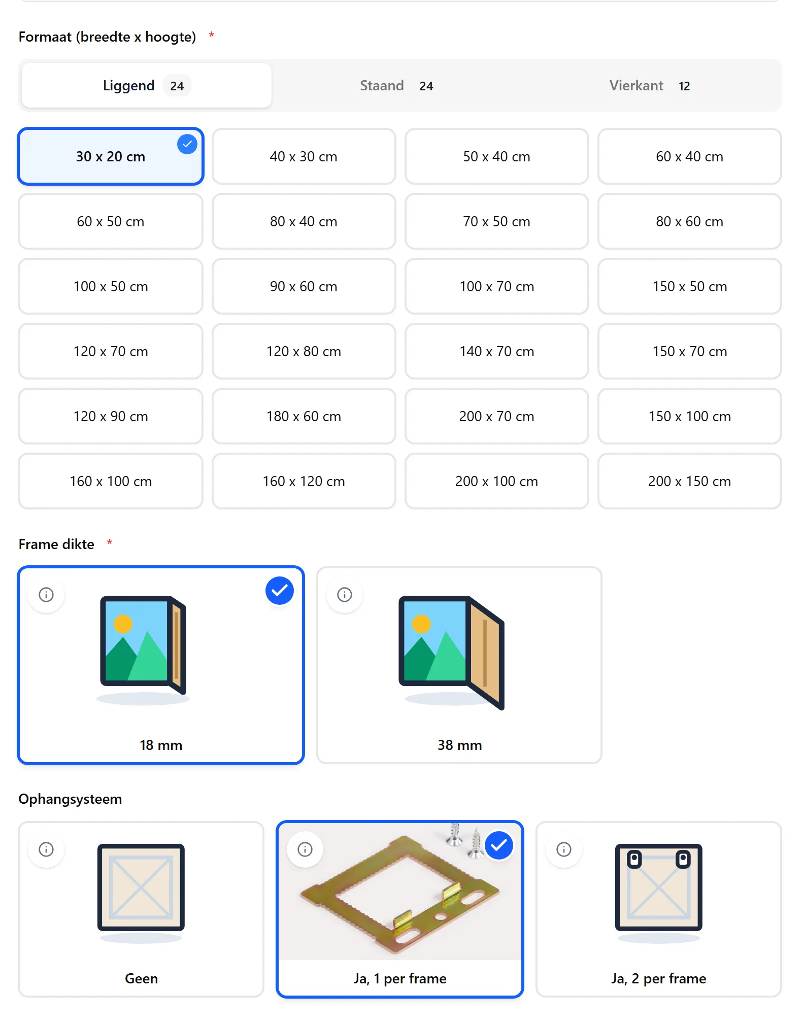 The option grid of a canvas product showing size tiles, frame thickness and hanging system
